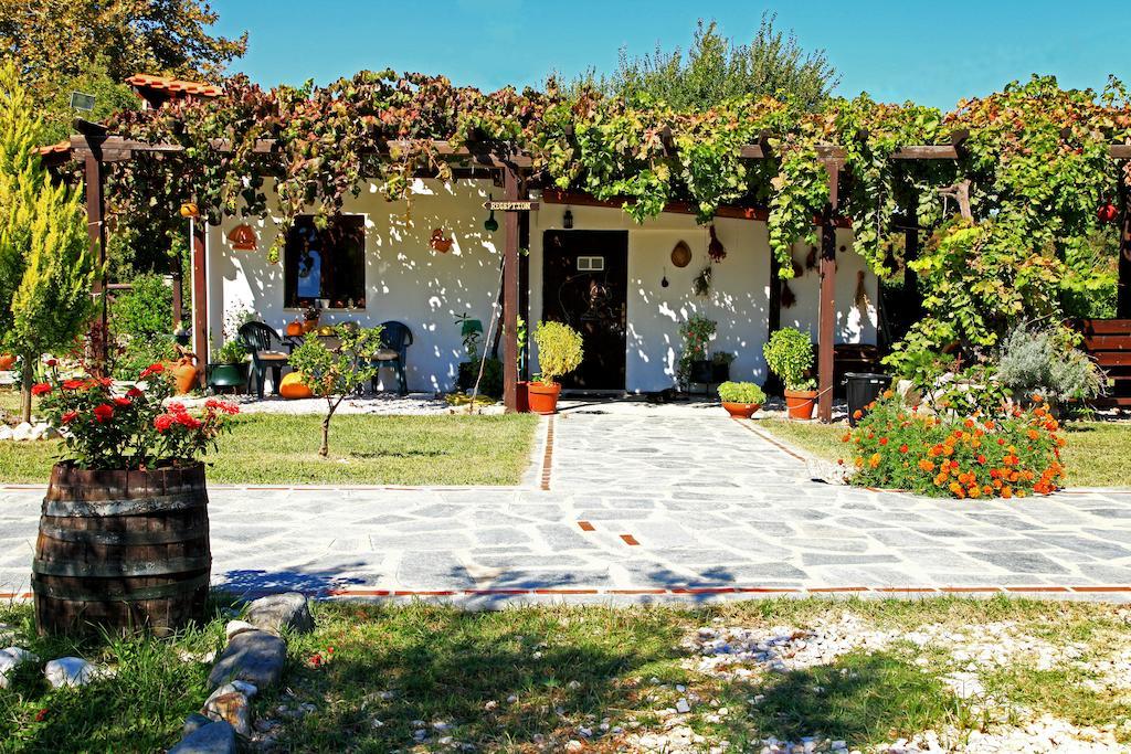 Dionysus Apartments & Suites Ierissos Extérieur photo
