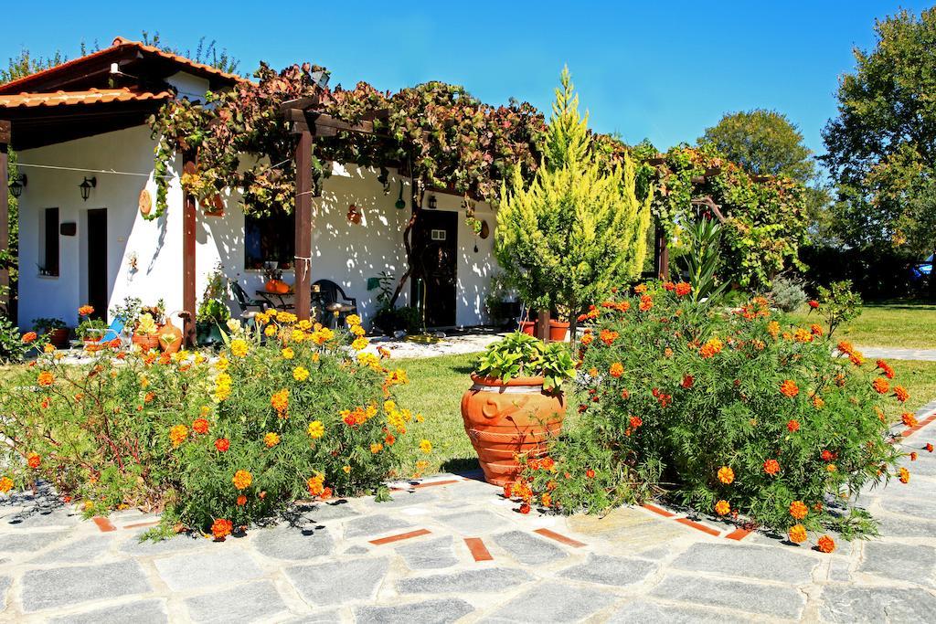 Dionysus Apartments & Suites Ierissos Extérieur photo