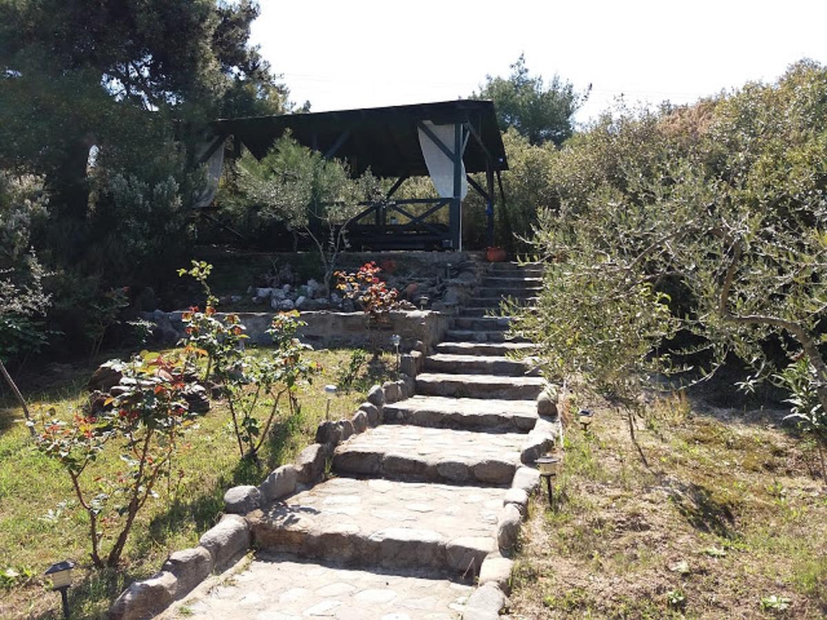 Dionysus Apartments & Suites Ierissos Extérieur photo